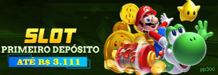 pp300